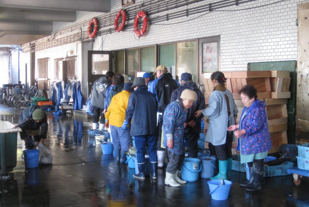 日本原始風景之旅 京都美山町茅草屋 伊根町漁民舟屋國家重要傳統的建造物群保護地區 豐和旅行