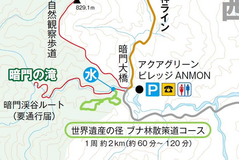 青森ブナ林散策道