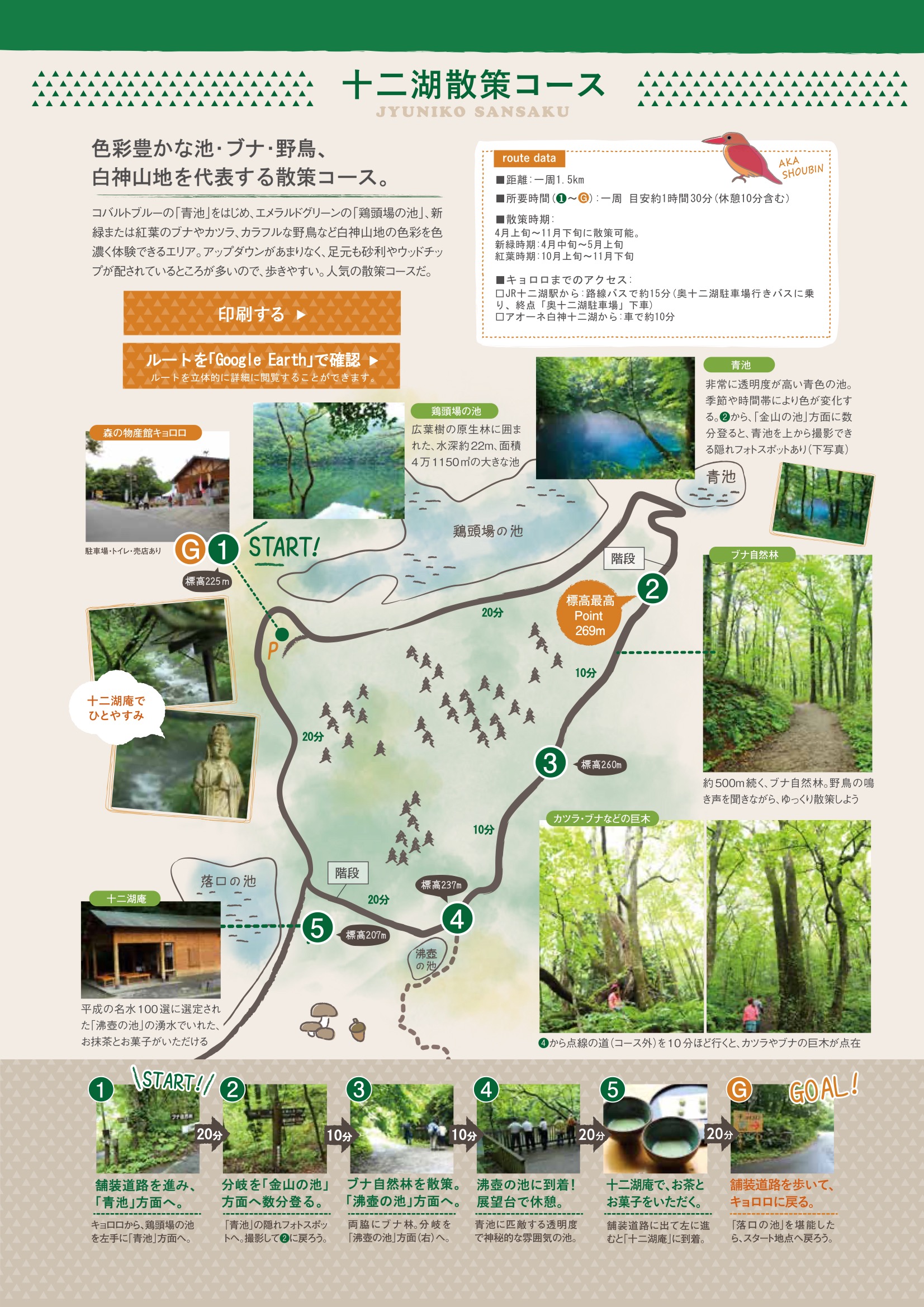 青森十二湖散策道